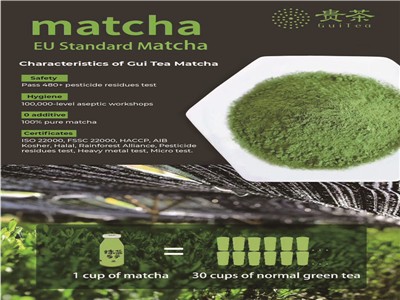 Fungsi dan ciri -ciri serbuk tulen organik